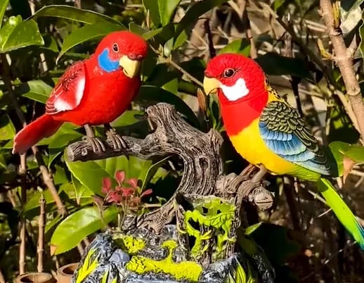 Aanspreekbare Papegaaien - Breng je tuin tot leven!