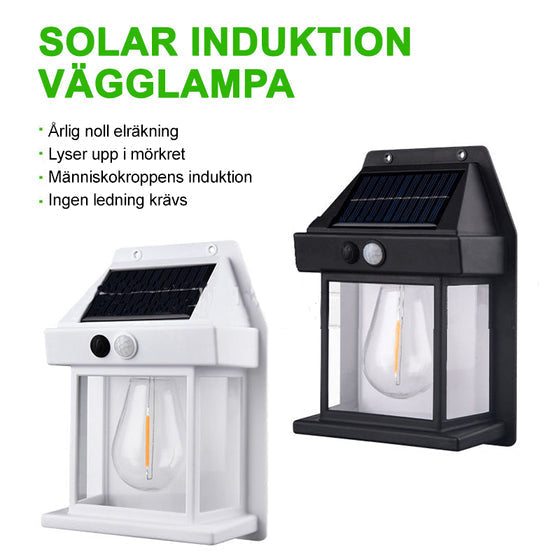 Solara™ Sfeervol, snoerloos en waterdicht - wandlamp op zonne-energie met kunstlicht